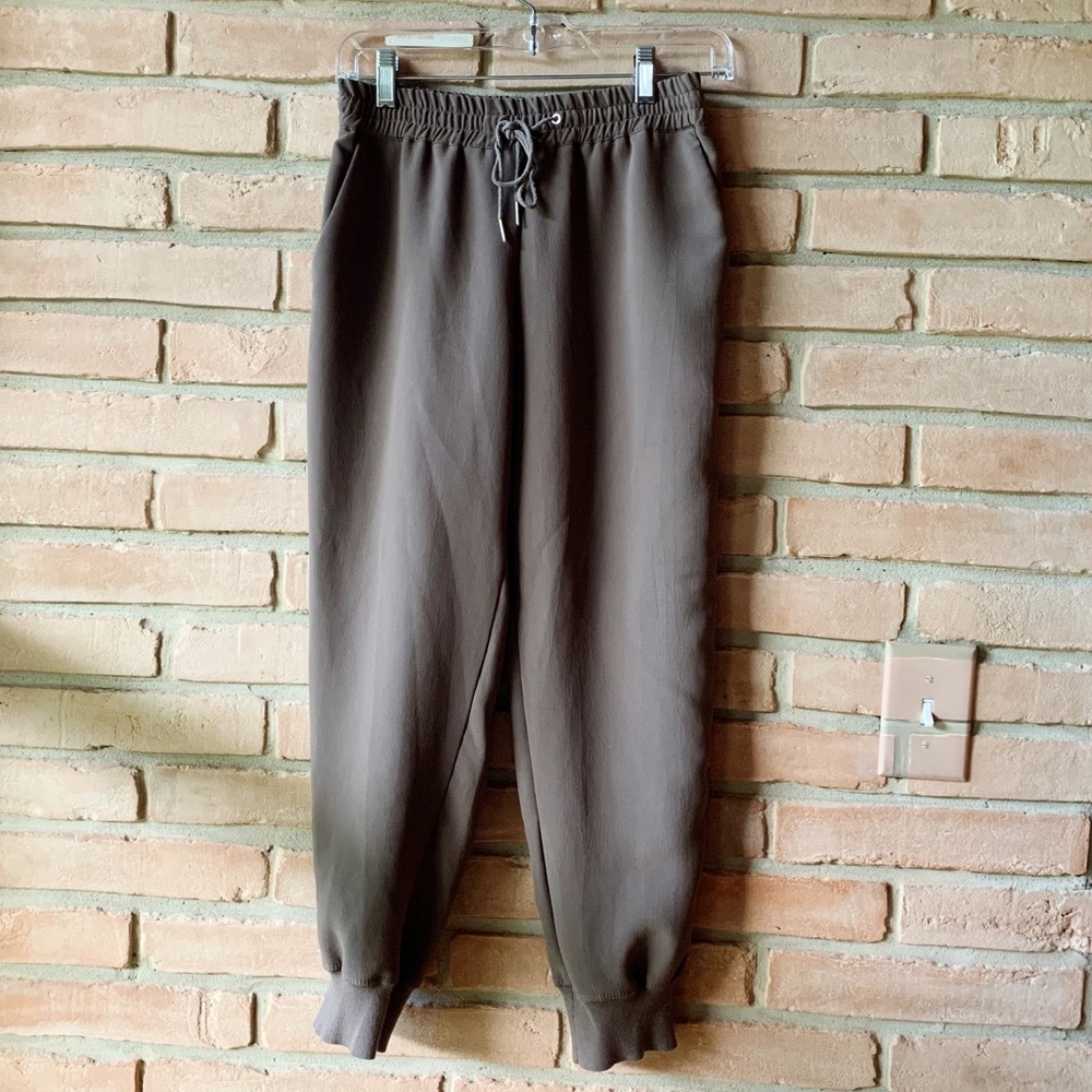Aritzia joggers